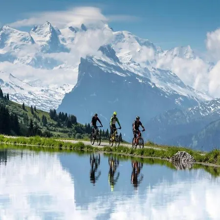 Attractive With A Balcony In Le Grand Massif * Samoens
